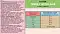 Zilli сухой корм для котят Индейка с Ягнёнком #4