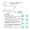 AJO Special Line Sterile Сухой корм для активных стерилизованных кошек с высоким содержанием белка с индейкой и уткой #4