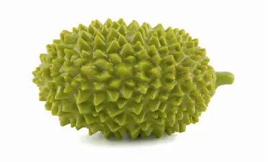 WOGY Игрушка-пищалка для собак "Дуриан"