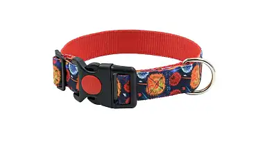 ZOOexpress ОДУВАНЧИКИ ошейник c принтом для собак, красный